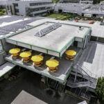 Dachaufsicht auf den Kantinenanbau mit Terrasse und gelben Sonnenschirmen – realisiert durch Stahlbau Nägele