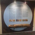Historischer Teuchel aus dem „heilsamen Bad zu Boll“ im Foyer des Kurhauses Bad Boll. Das Fundstück liegt auf einer gebogenen Rundstahl-Unterkonstruktion von Stahlbau Nägele.