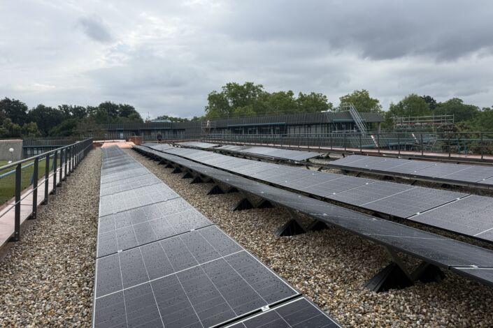 Stahlgeländer entlang der Dachfläche mit Photovoltaikanlage am Museum am Löwentor